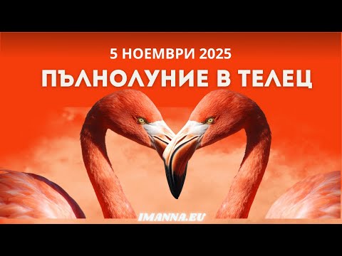 Видео: Защо ти завиждаш на някои хора? Пълнолунието в Телец на 5 ноември 2025 ще ти покаже…