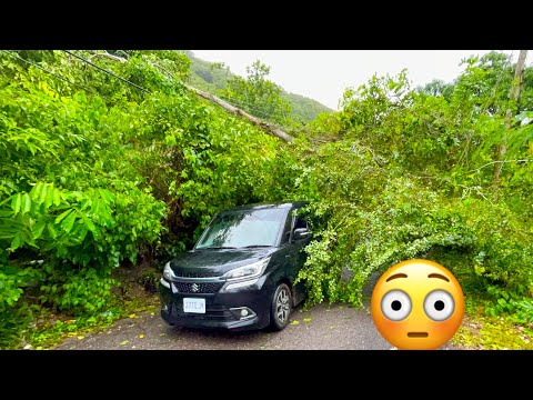 Видео: Вот что ураган Мелисса сделал на Ямайке во вторник утром 28 октября