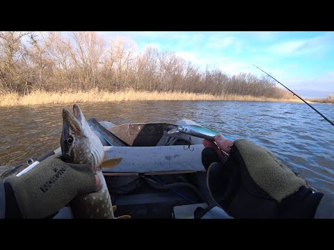 Видео: Крупный воблер и длинные паузы - то, что было нужно щуке!👍