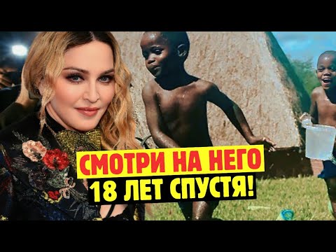 Видео: Помните Бедного Мальчика, Которого Усыновила Мадонна 18 Лет Назад? Вот Как Сложилась Его Жизнь...