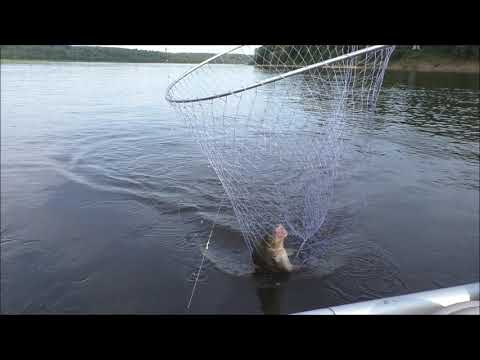 Видео: На фидер с лодки.  "Проба пера".