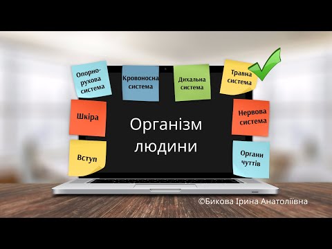 Видео: Організм людини: травна система