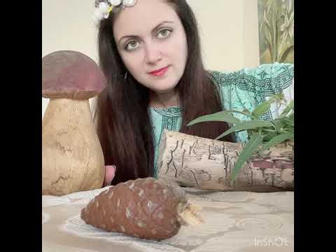 Видео: АСМР 🎆Чистка ауры у лесной знахарки 🎆