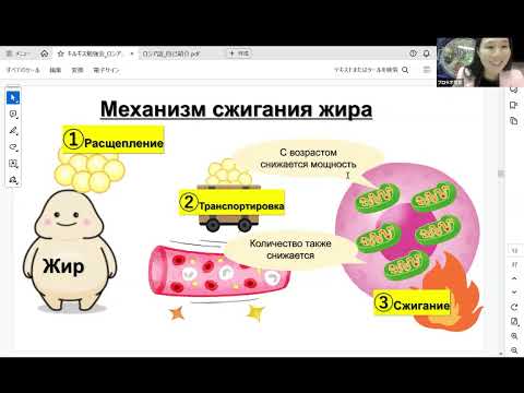 Видео: Механизм жиросжигания. Эффективный сброс лишнего веса.
