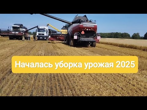 Видео: Началась уборка урожая 2025.