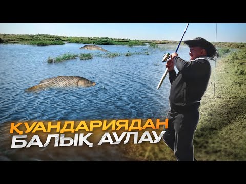 Видео: ҚАРМАҚШЫ АУДАНЫ. БАЛЫҚ КӨП ЕКЕН МЫНА ЖЕРДЕ. САЗАН МЕН ЖЫЛАНБАЛЫҚ