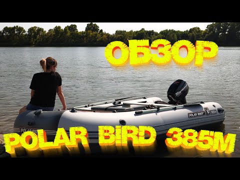 Видео: ОБЗОР лодки Polar Bird 385M NEW Merlin «Кречет» 👍👍👍 Лодочный мотор Toyama T9.9BMS ТЕСТ 💪