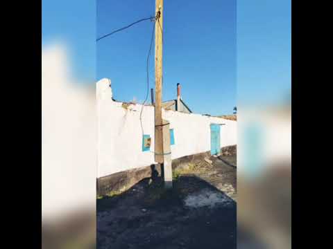 Видео: Моховое😍 26.06.2021