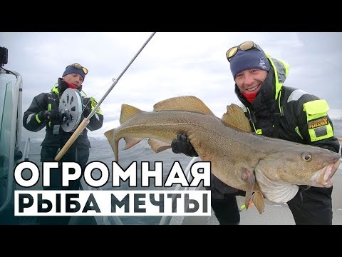 Видео: Как ловить ТОЛЬКО БОЛЬШУЮ рыбу?! Я больше не хочу ловить...