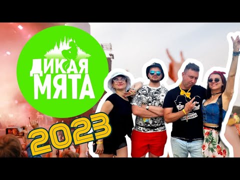 Видео: Дикая Мята 2023