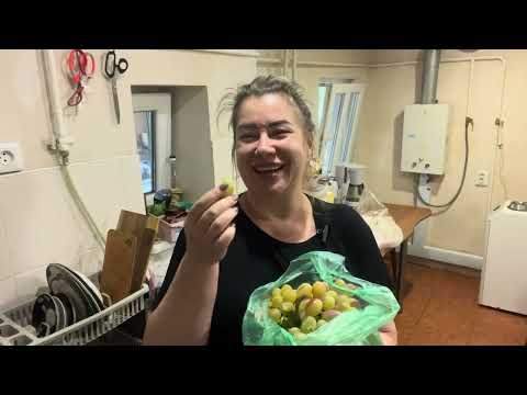 Видео: ДРУЖКОВКА 23 августа  2025 ЖИЗНЬ НА ЧЕМОДАНАХ