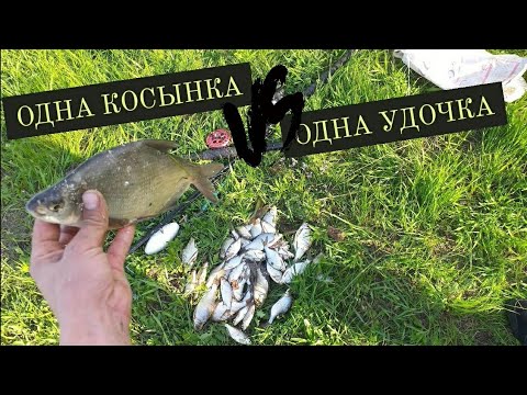 Видео: Рыбалка на косынки. Ловлю подлещеков на поплавок и косынки