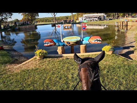 Видео: GoPro: Tullymurry Fifi (CCI 3* -L | 2024 MARS Maryland 5 звезд в Фэйр-Хилл)