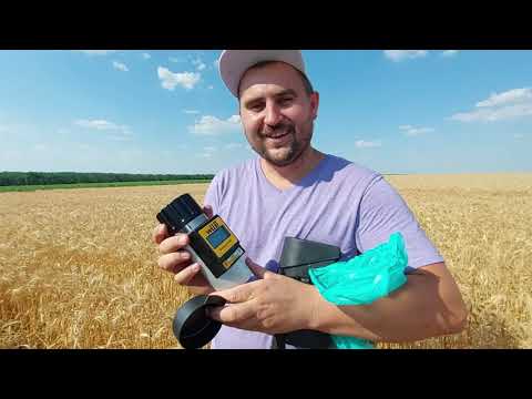 Видео: начало уборки, влажность пшеницы, заразиха на подсолнухе!