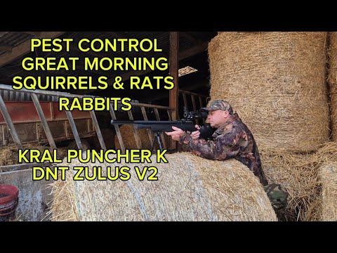 Видео: СРЕДСТВО ДЛЯ БОРЬБЫ С БЕЛКАМИ И КРЫСАМИ GREAT MORNING KRAL PUNCHER K DNT ZULUS V2