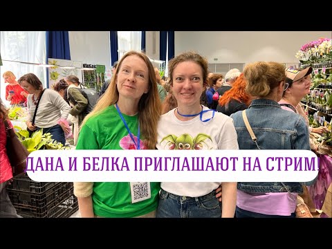 Видео: Орхидиумный стрим!