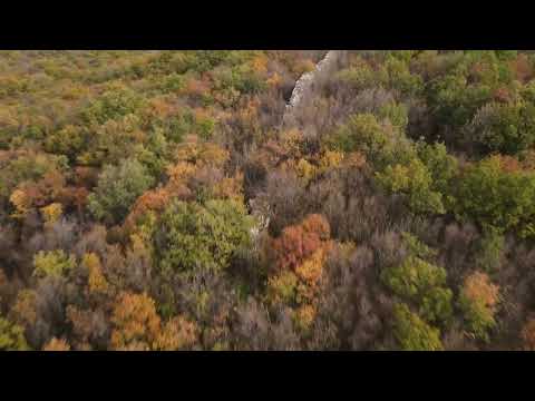 Видео: Luitica (Лютица)