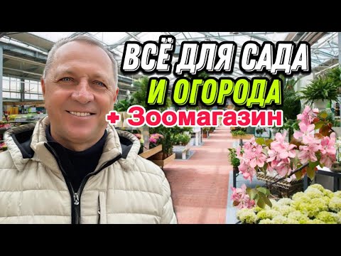 Видео: Что можно купить в Германии в магазине всё для сада и огорода.Какие цветы,фруктовые деревья.Обзор.