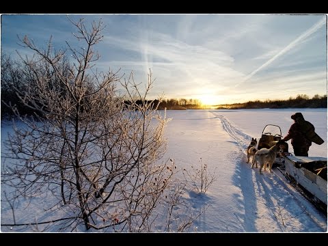 Видео: проект "Хозяева тайги" Андрей Михеев  2017 01 FullHD