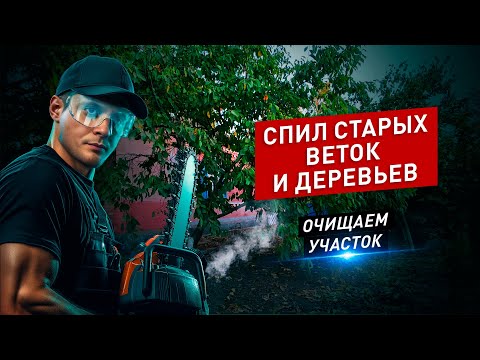 Видео: Очистка сада от деревьев и веток: Полная уборка плодового сада!#Сада #Уборка #Садоводство #diy