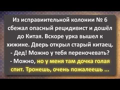 Видео: Побег из Снежинки! Сборник Самых Свежих Анекдотов!