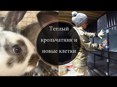 Видео: Теплый крольчатник: Как мы сделали клетки и ухаживаем за кроликами