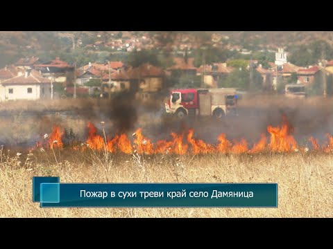 Видео: Пожар в сухи треви край село Дамяница