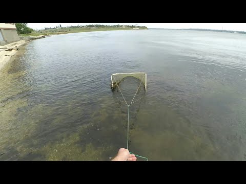 Видео: Ловля гидробионтов для аквариума в Бугский лимане на даче/Wild biotope in an aquarium (Golobabelus M