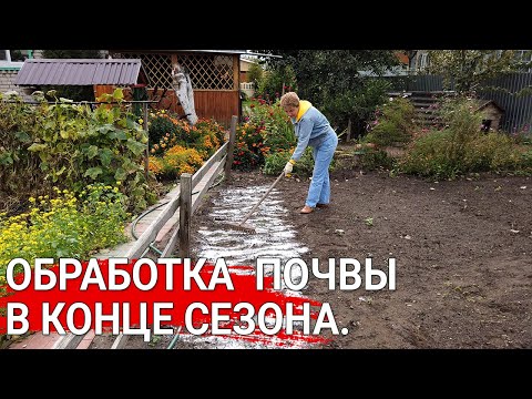 Видео: Обработка  почвы в конце сезона. | Зачем известковать почву?