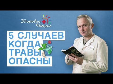 Видео: КАКИЕ ЛЕКАРСТВЕННЫЕ ТРАВЫ ОПАСНЫ?