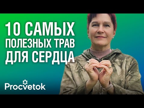 Видео: УКРЕПЯТ СЕРДЦЕ И СОСУДЫ! Какие травы сохранят здоровье сердечно-сосудистой системы?