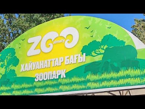 Видео: Алматинский зоопарк. Небольшая экскурсия по территории. Almaty zoo, walk on. #алматы #зоопарк 