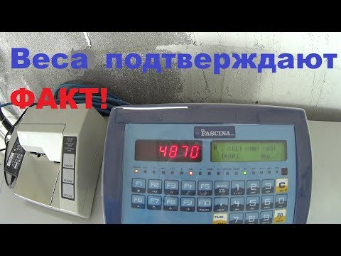Видео: Эксперимент с фурой на ВЕСАХ!