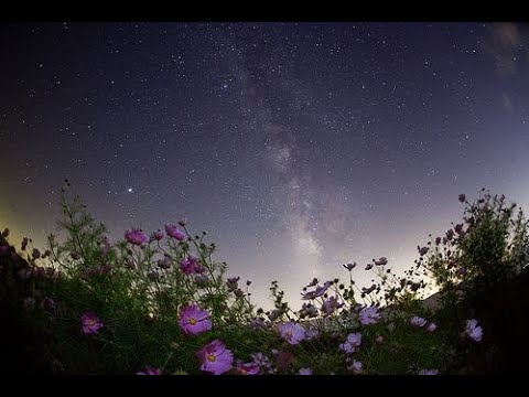 Видео: Усиление защиты
