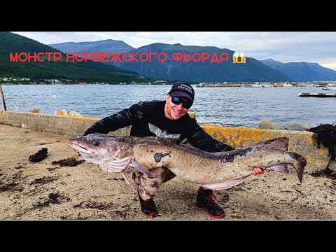 Видео: Рыбалка в Норвегии Fishing in Norway Очередной трофей Lange Molva