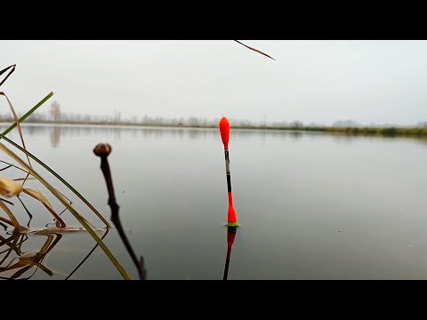 Видео: УЛОВИСТАЯ ПОПЛАВОЧНАЯ СНАСТЬ НА КРУПНУЮ РЫБУ В ДЕЛЕ
