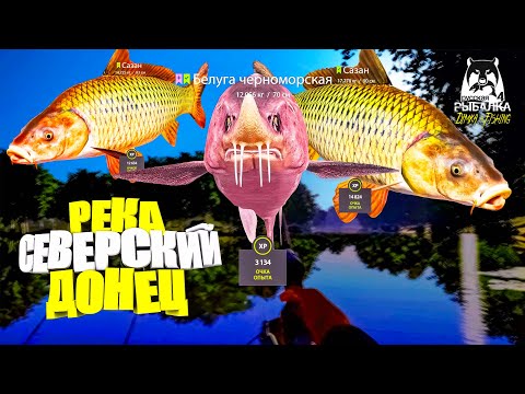 Видео: Русская рыбалка 4.🎣🦈 р. Северский Донец 🐡🐬🐡💦 от LATORSO 👀