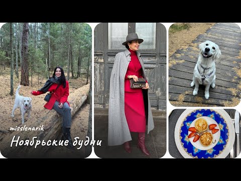 Видео: VLOG #10. Последний осенний влог