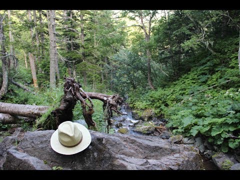 Видео: Гора Лягушка и водопад Айхор (Веста)