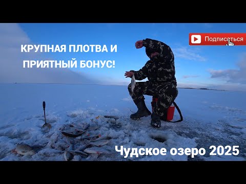 Видео: Рыбалка на Чудском озере(Ряпина)! Хороший клёв Крупной плотвы! И крупный Бонус! Открытие сезона!