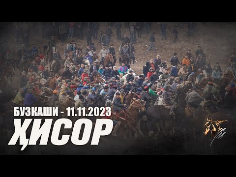 Видео: Бузкаши 11.11.2023 ш.Хисор #2