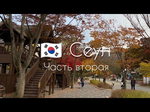Видео: 🇰🇷 Сеул Vlog. Часть 2. Зоопарк и винный бар