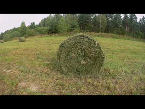 Видео: Отава. ч.3