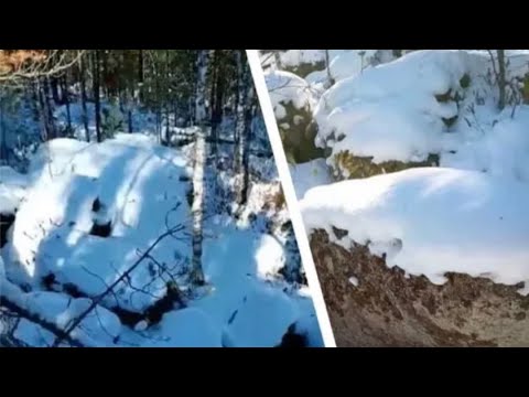 Видео: В органах назвали основную версию исчезновения семьи Усольцевых