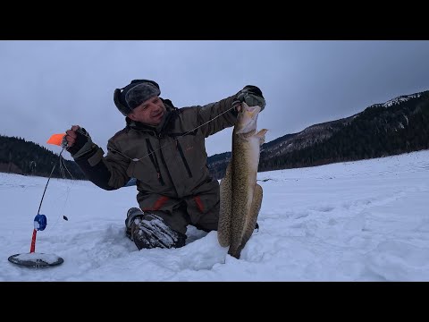 Видео: КРУПНЯК С УТРА | СТОЛЬКО РЫБЫ МЫ ЕЩЁ НЕ ЛОВИЛИ | РЫБАЛКА ЗА СШГЭС часть-2