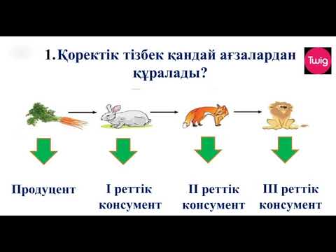 Видео: Экожүйе