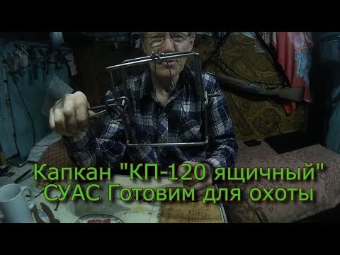 Видео: Капкан КП-120 ящичный СУАС Готовим для охоты