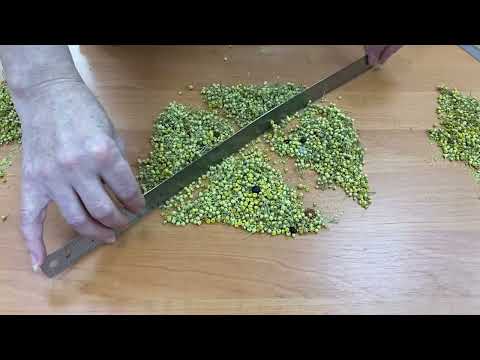 Видео: Отбор аналитических проб лекарственного растительного сырья из средней