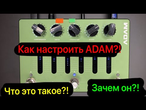 Видео: Darkglass ADAM обзор, настройка и демонстрация моих присетов.