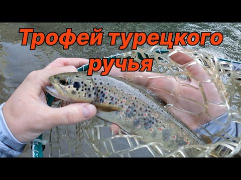 Видео: ТРОФЕЙ ТУРЕЦКОГО РУЧЬЯ. Рыбалка в Турции (4K)